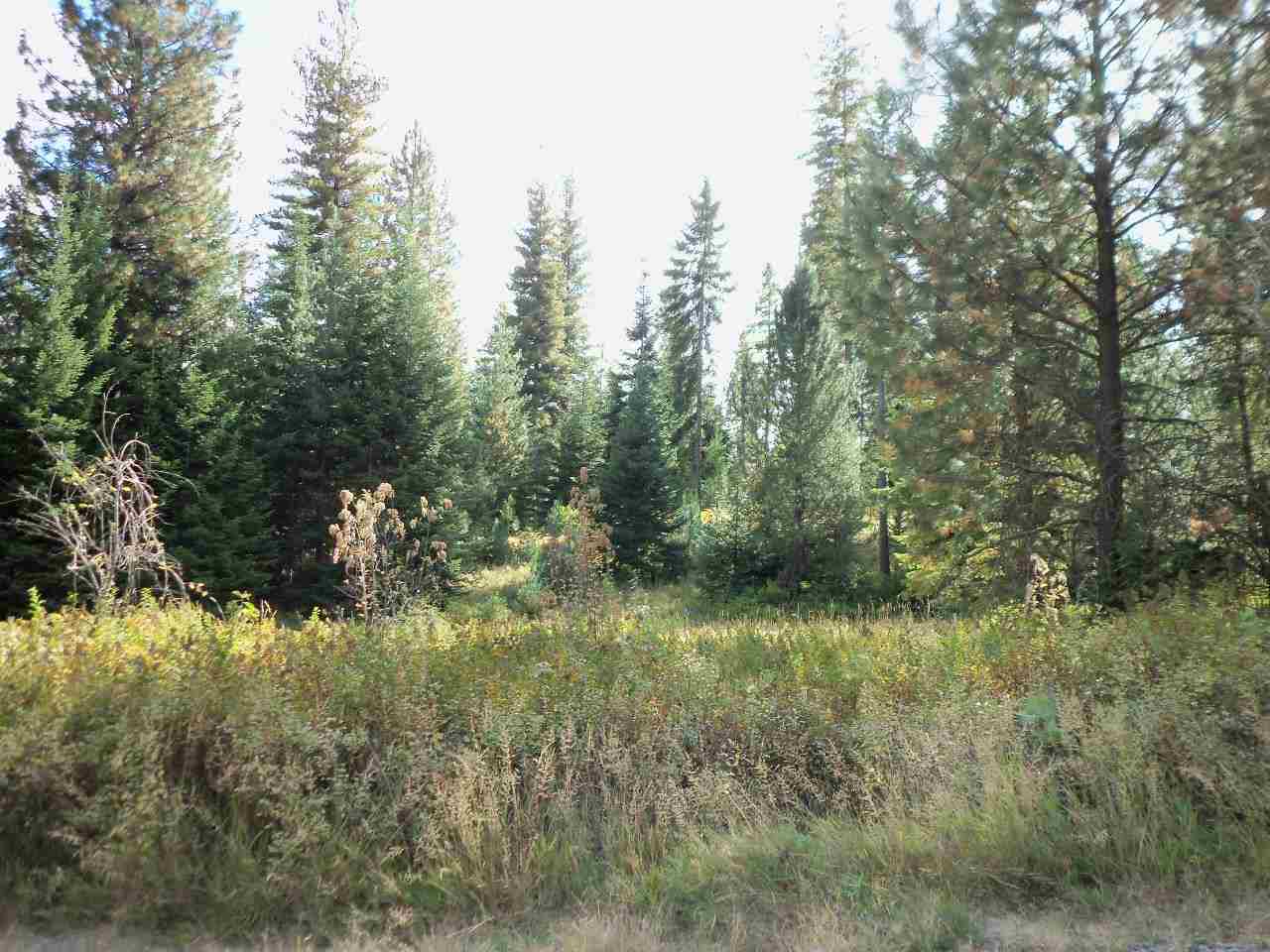 Xx Foothills Road Newman Lake, WA 99025 - Photo 7 of 10 Gallery Image 7