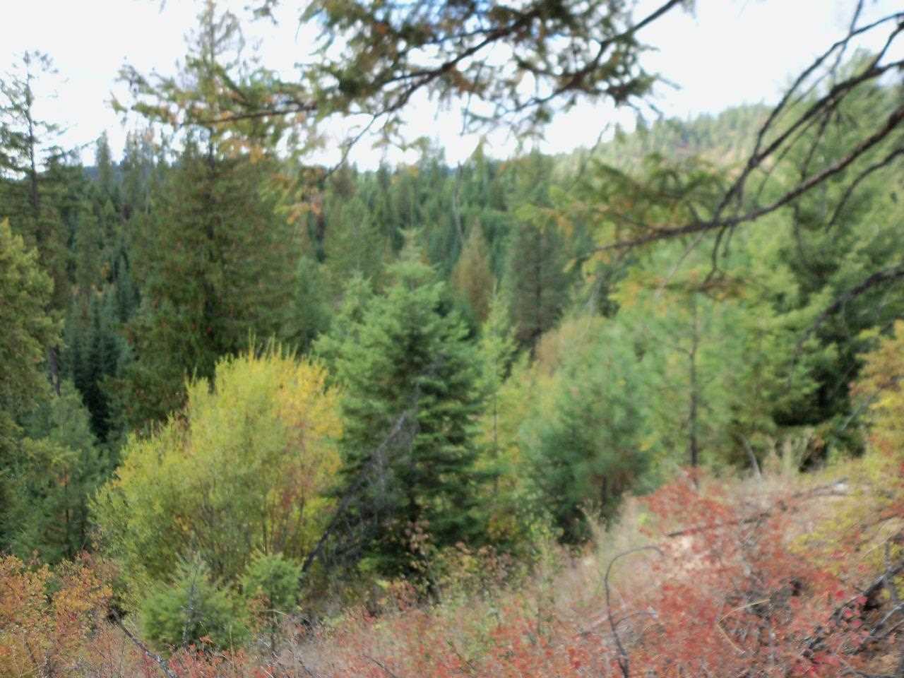 Xx Foothills Road Newman Lake, WA 99025 - Photo 8 of 10 Gallery Image 8