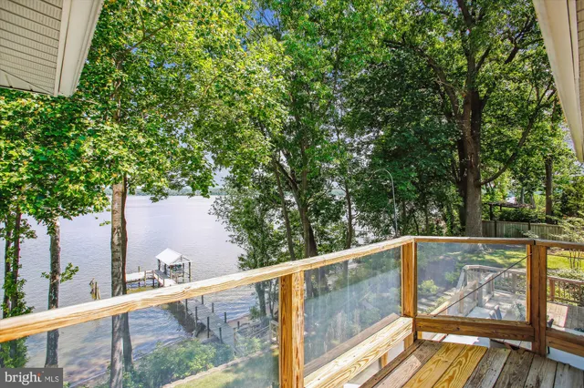 a view of a garden with large trees