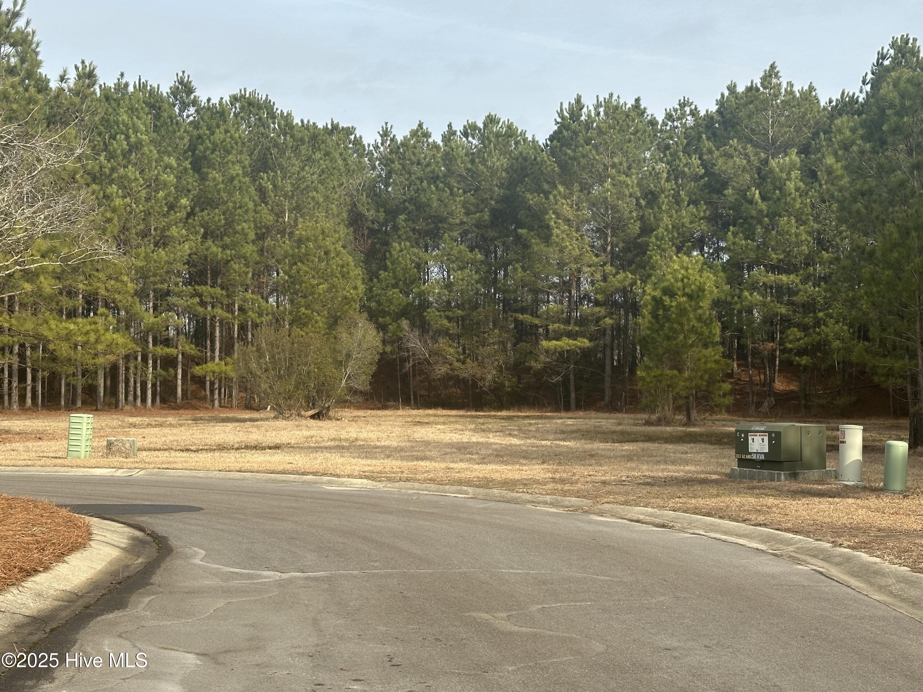 332 Cellars Way Wallace, NC 28466 - Photo 2 of 3 IMG_0838