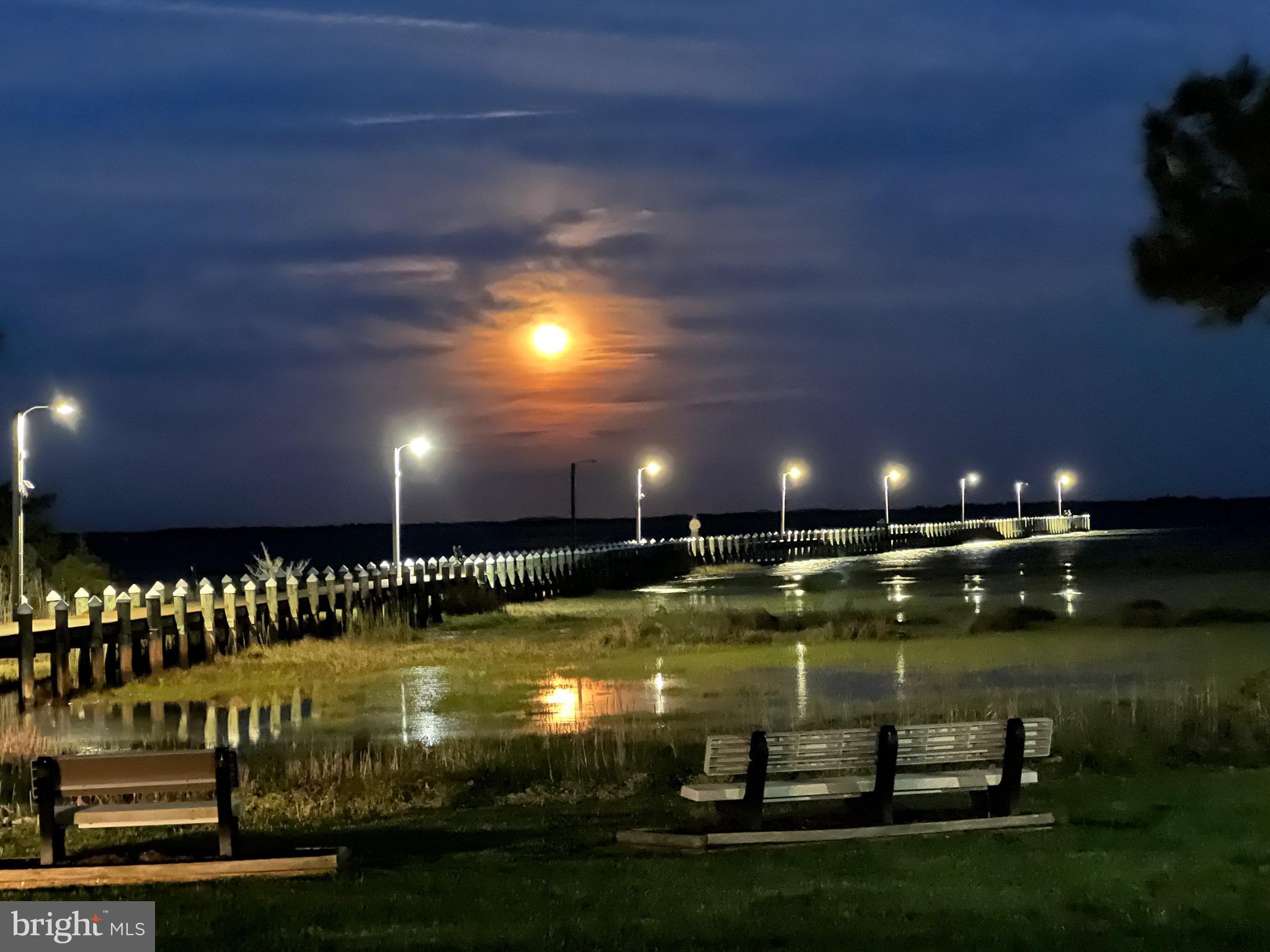8841 Bay Ridge Drive Berlin, MD 21811 - Photo 44 of 134 Enjoy a romantic walk under the moon