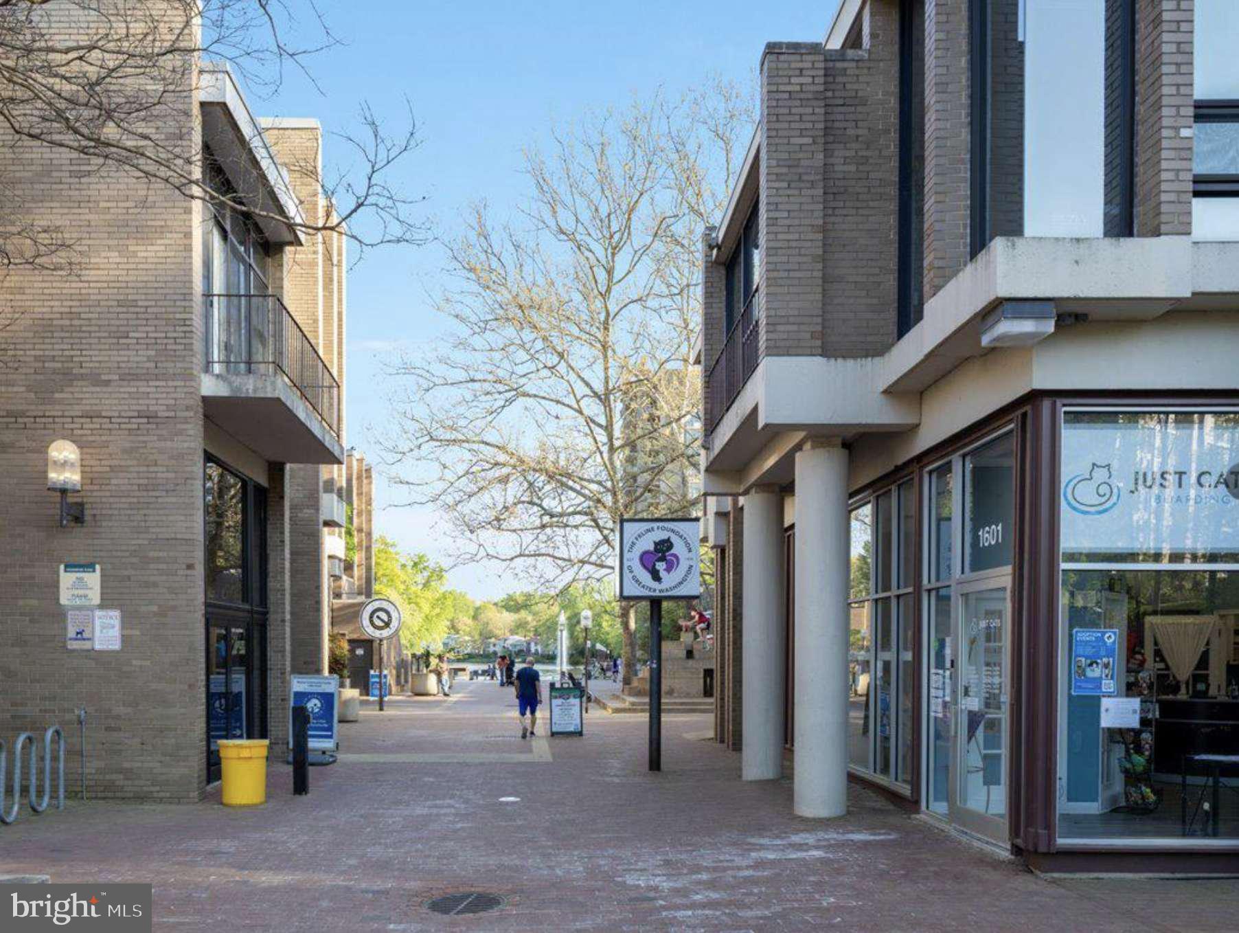 1534 Northgate Square, Unit 11C Reston, VA 20190 - Photo 23 of 37 Charming urban stroll on a sunny day.