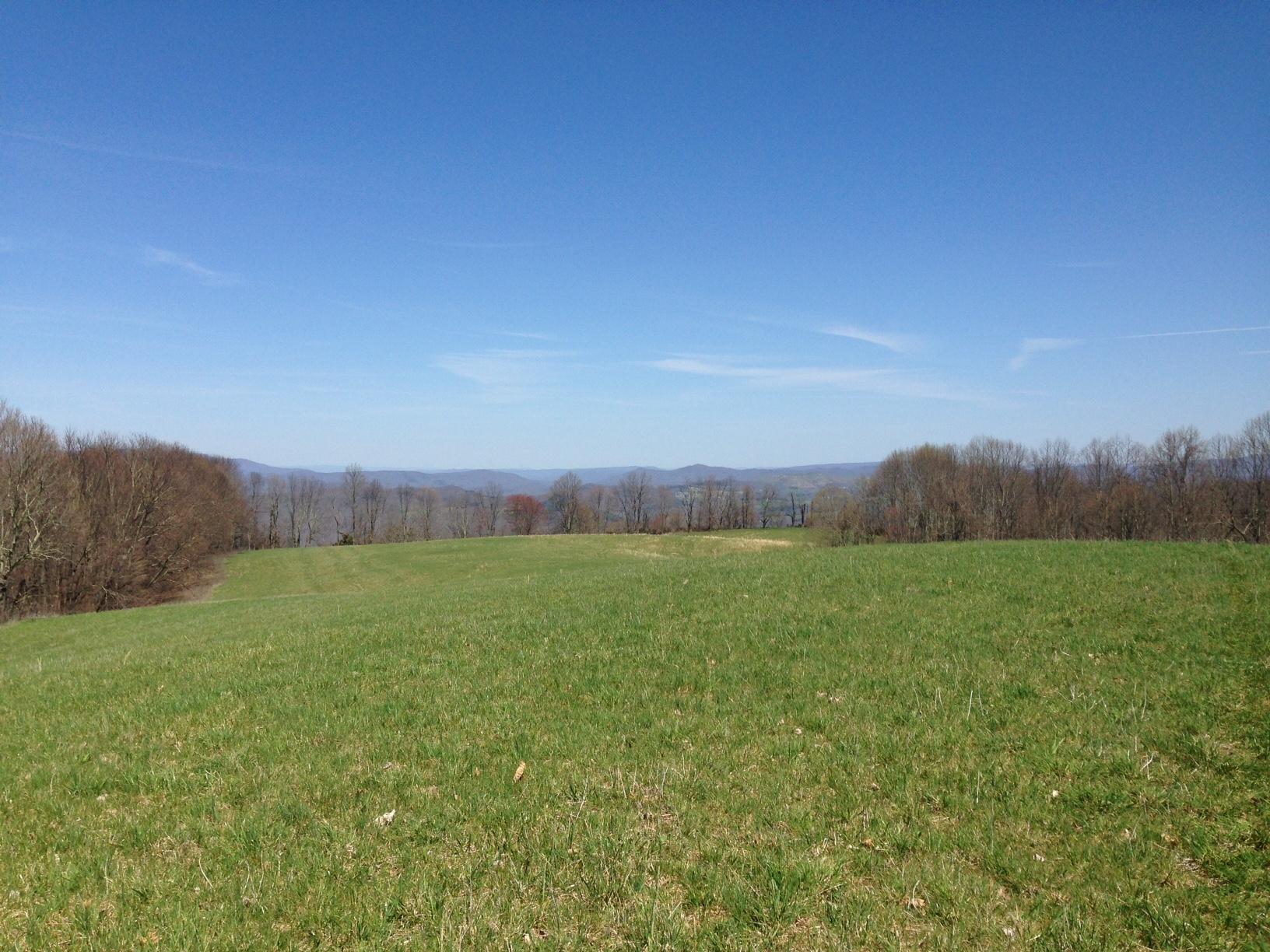 Dillon Road Forest Hill, WV 24935 - Photo 7 of 93 Gallery Image 7