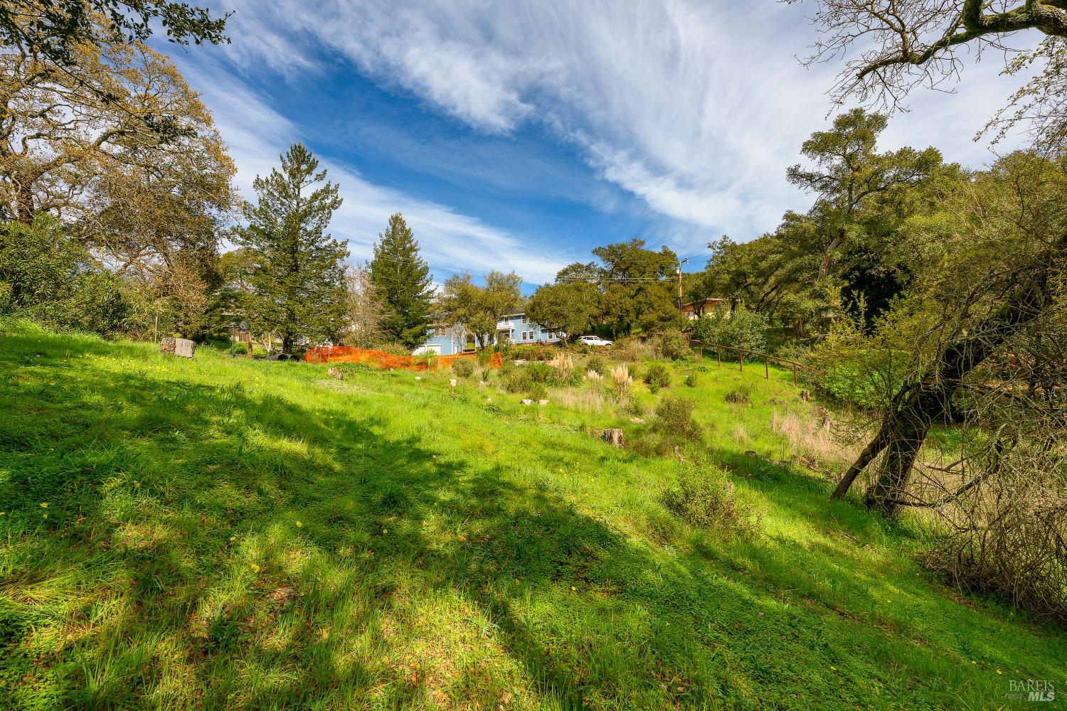 5275 Wikiup Court Santa Rosa, CA 95403 - Photo 15 of 24 a view of a yard with a tree