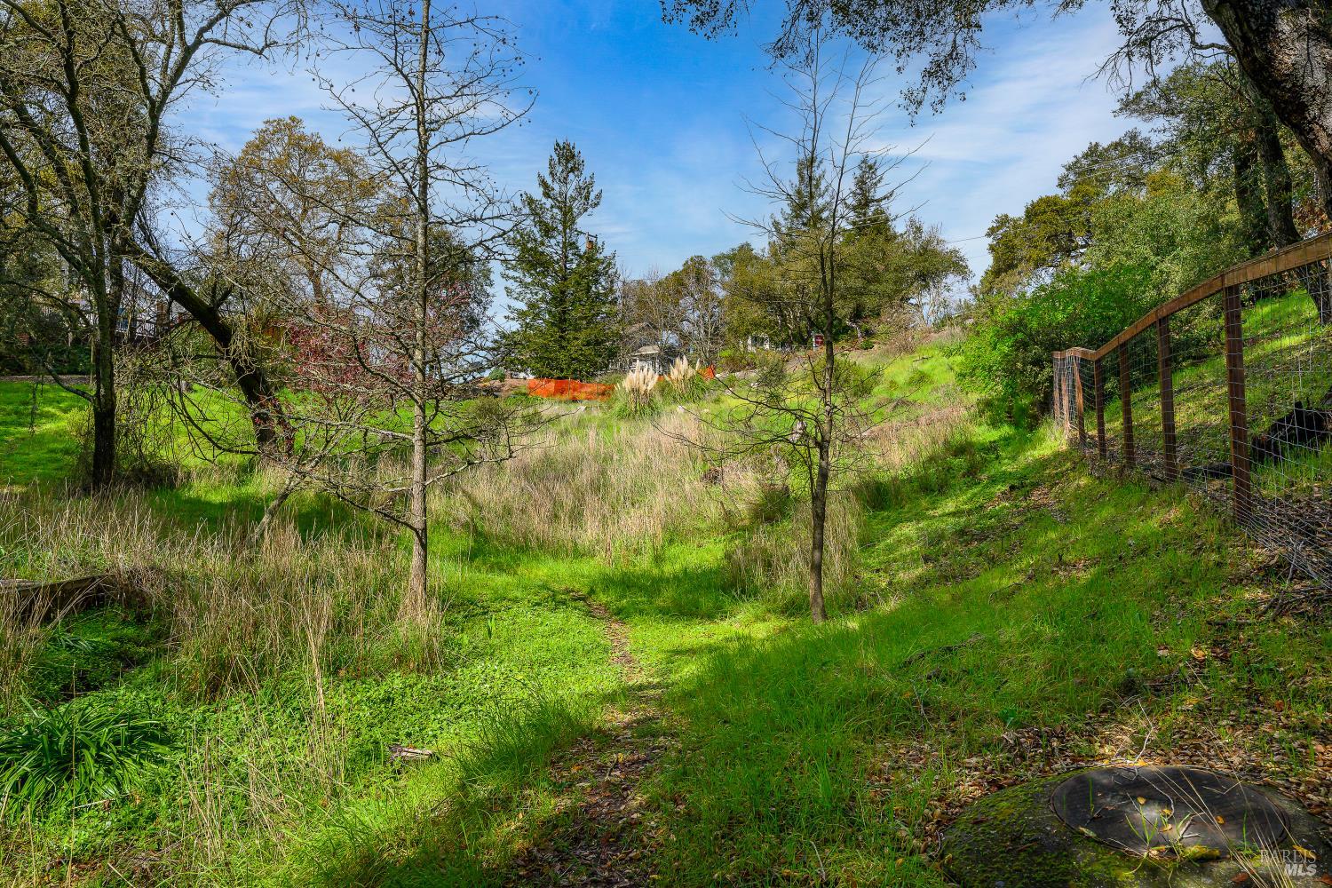 5275 Wikiup Court Santa Rosa, CA 95403 - Photo 16 of 24 a view of a garden