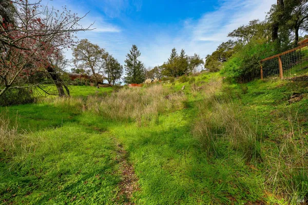 a view of residential area with yard