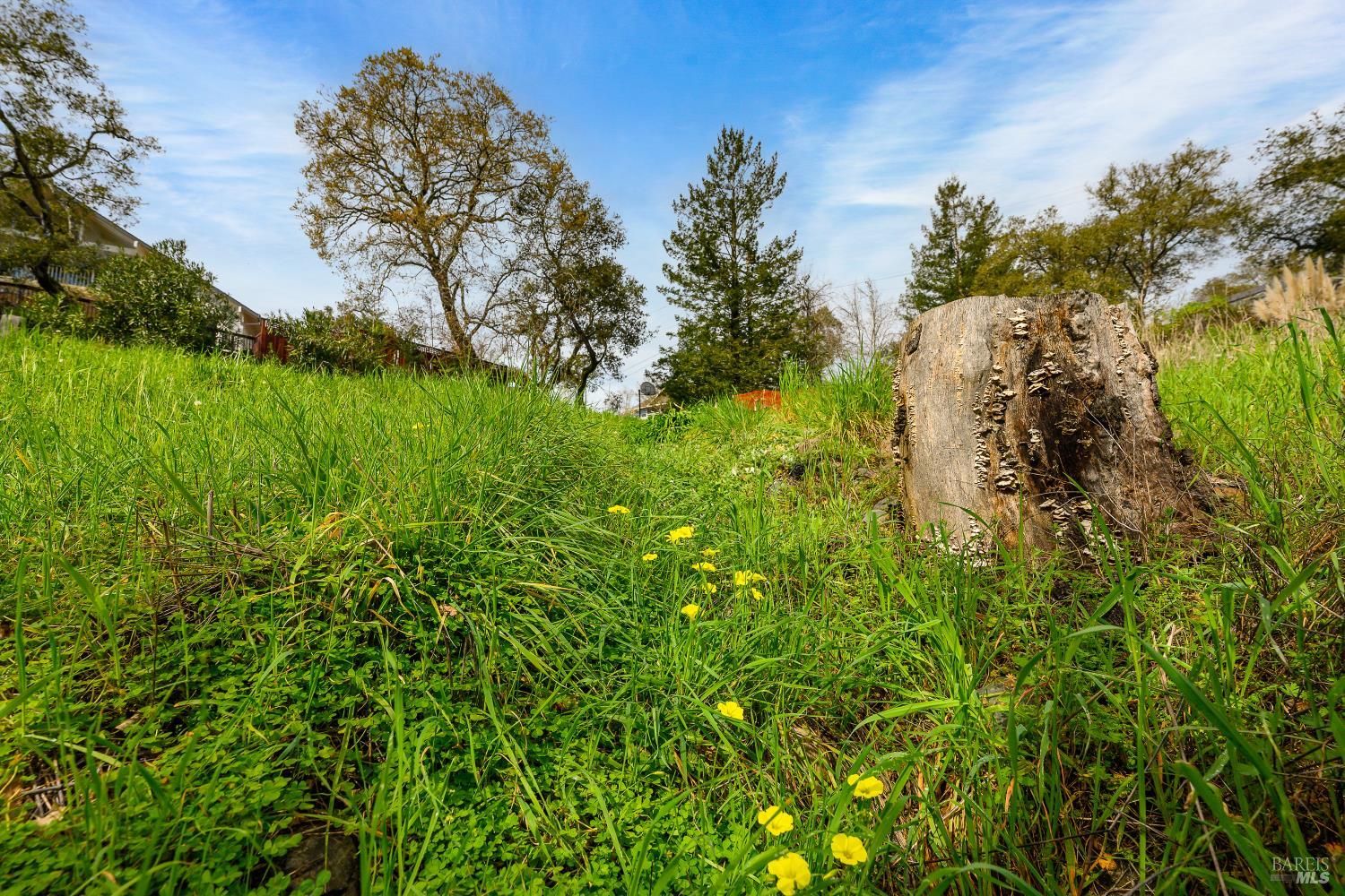 5275 Wikiup Court Santa Rosa, CA 95403 - Photo 18 of 24 a view of a garden