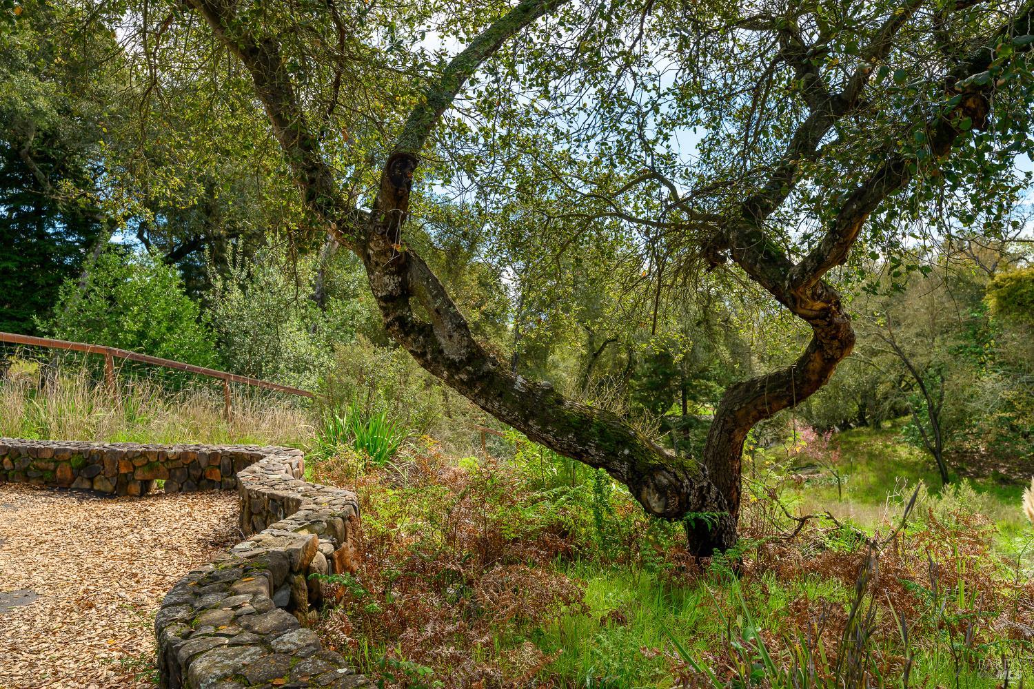 5275 Wikiup Court Santa Rosa, CA 95403 - Photo 2 of 24 a view of a garden with a lake