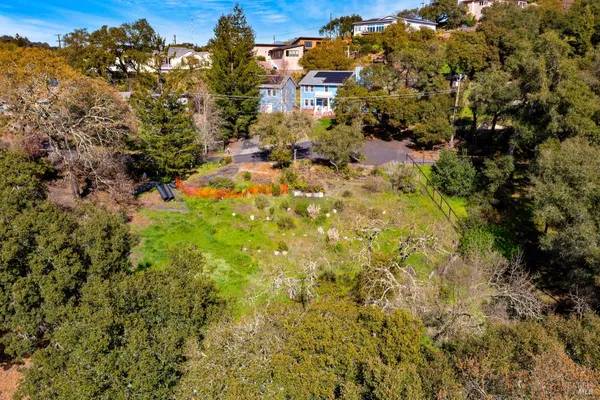 a big yard with lots of green space and trees
