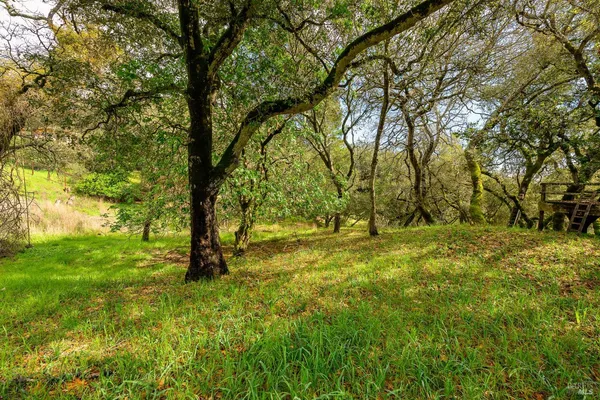 $265,000 | 5275 Wikiup Court, Santa Rosa, CA 95403