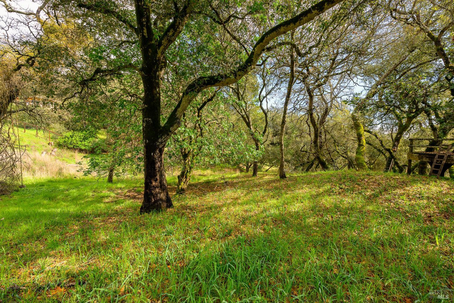 5275 Wikiup Court Santa Rosa, CA 95403 - Photo 23 of 24 a view of outdoor space with deck and tree