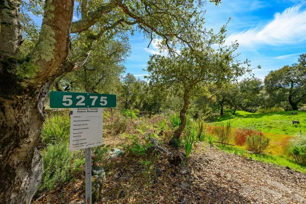a view of a lush green space