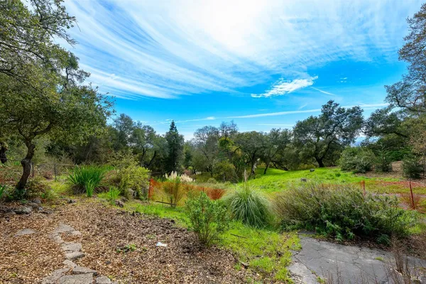 a view of a yard with a tree