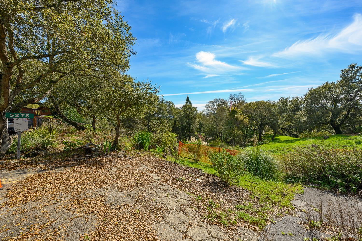 5275 Wikiup Court Santa Rosa, CA 95403 - Photo 9 of 24 a view of a yard with a tree