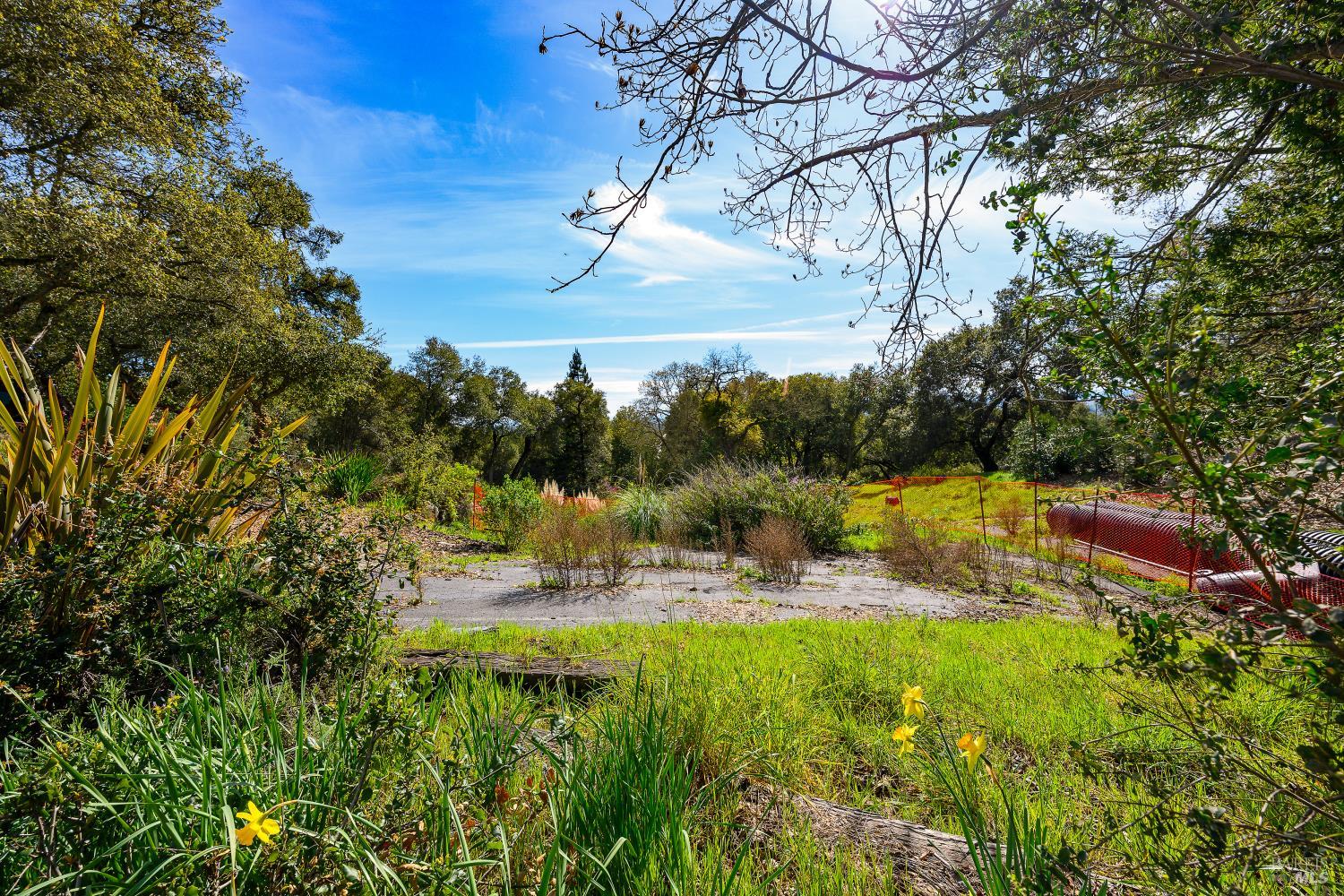 5275 Wikiup Court Santa Rosa, CA 95403 - Photo 10 of 24 a view of outdoor space and yard