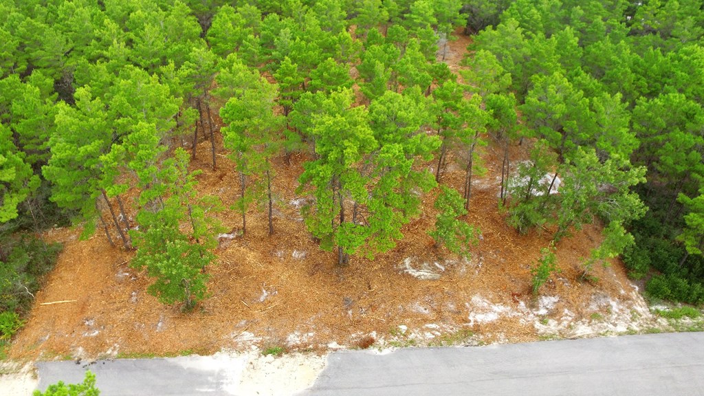 131 Shell Bay Court Carrabelle, FL 32322 - Photo 6 of 15 Gallery Image 6