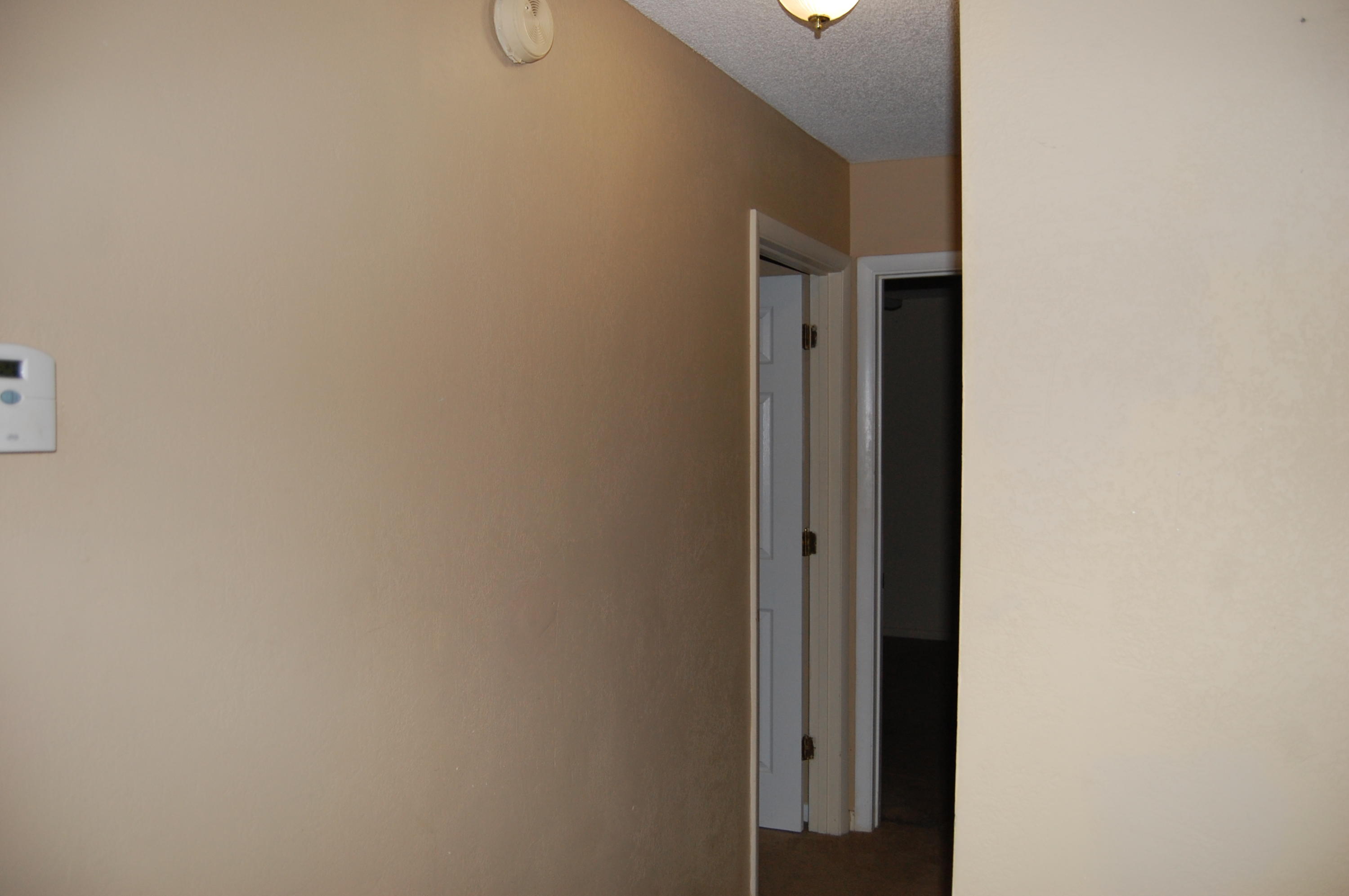 135 Manchester Road Summerville, SC 29486 - Photo 11 of 19 DSC_0031