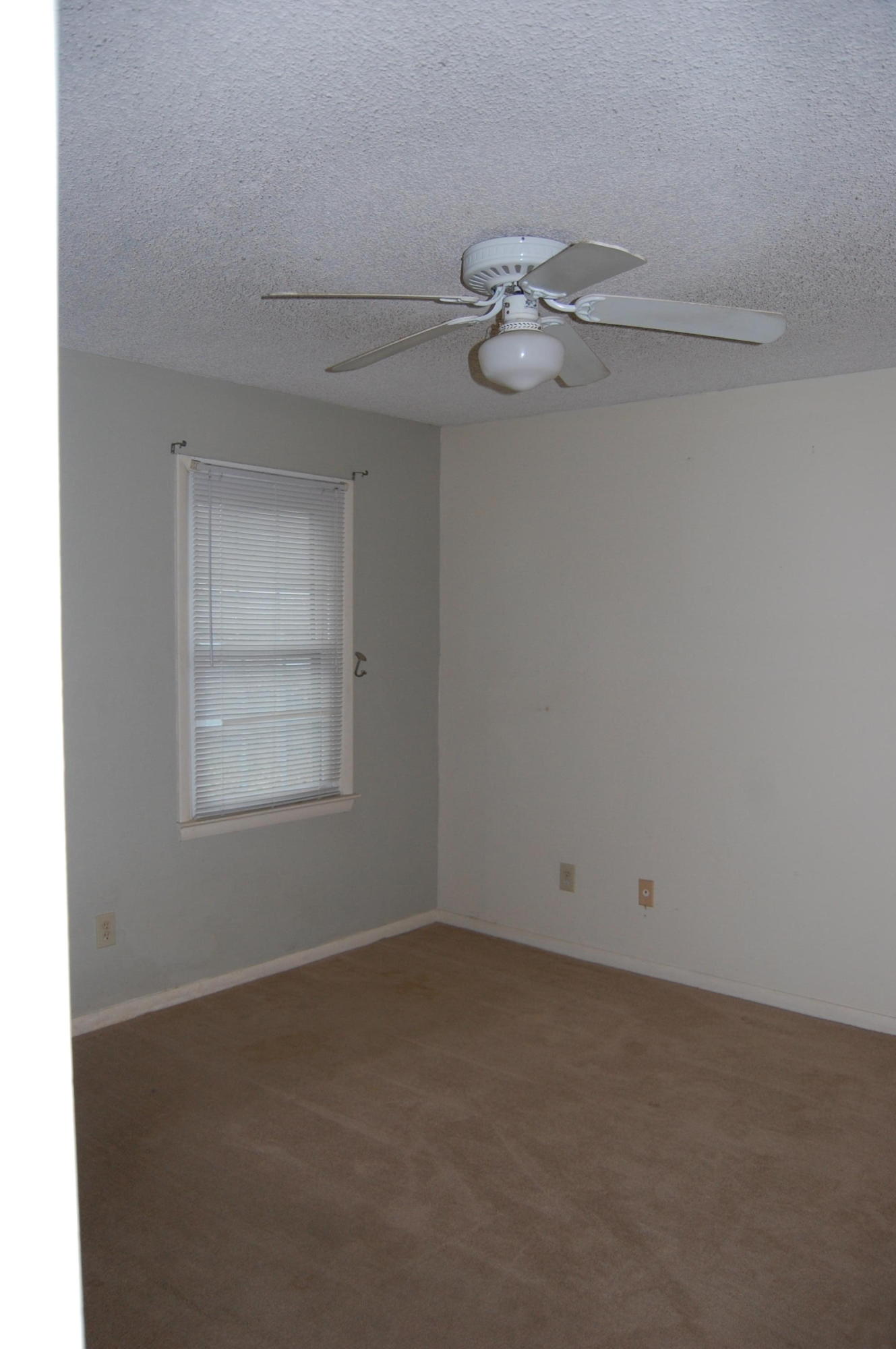 135 Manchester Road Summerville, SC 29486 - Photo 15 of 19 DSC_0042