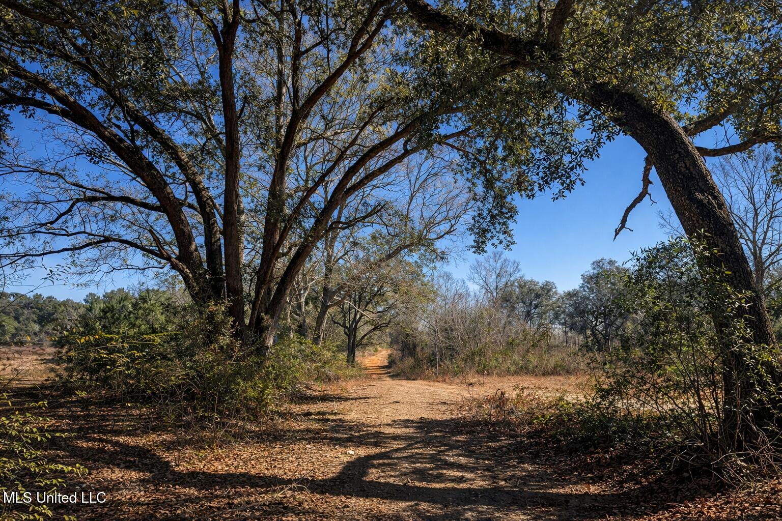 4 Standard Cemetery Road Kiln, MS 39556 - Photo 2 of 9 88B8C833-239B-47B5-BF93-AC5FA68D1137