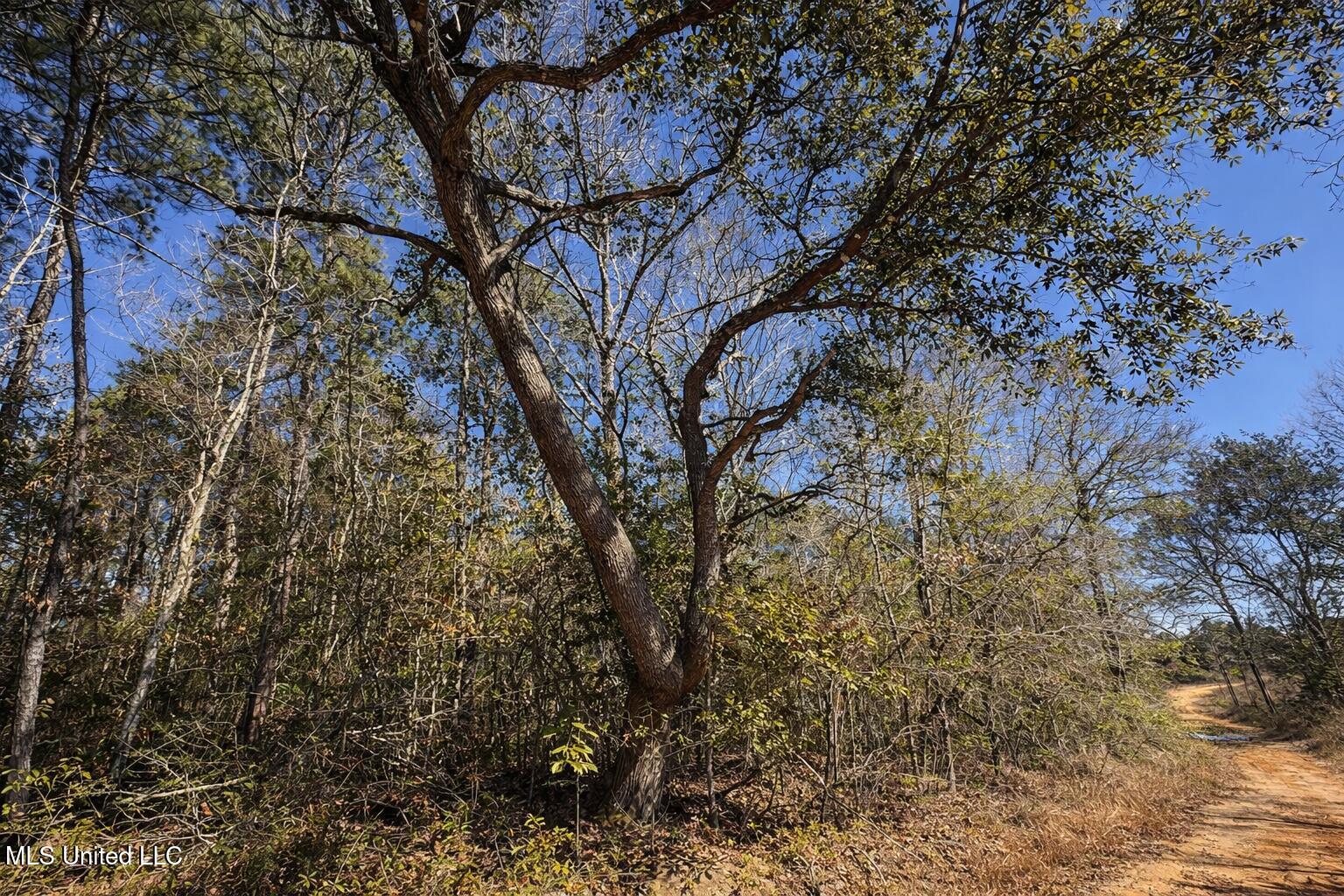 4 Standard Cemetery Road Kiln, MS 39556 - Photo 3 of 9 963ADAAE-70E8-4D1F-9CFE-091710A46605
