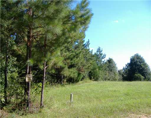 0 Lyman Breland Road Wiggins, MS 39577 - Photo 1 of 3 Primary Photo