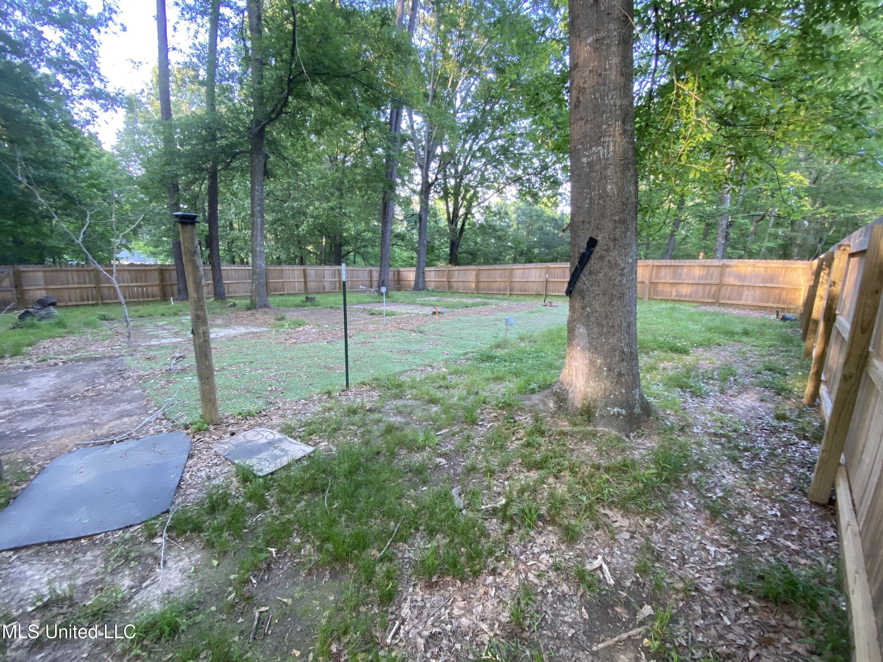 274 Pine Tree Lane Ridgeland, MS 39157 - Photo 44 of 48 274 Pine Tree inside kennel 2