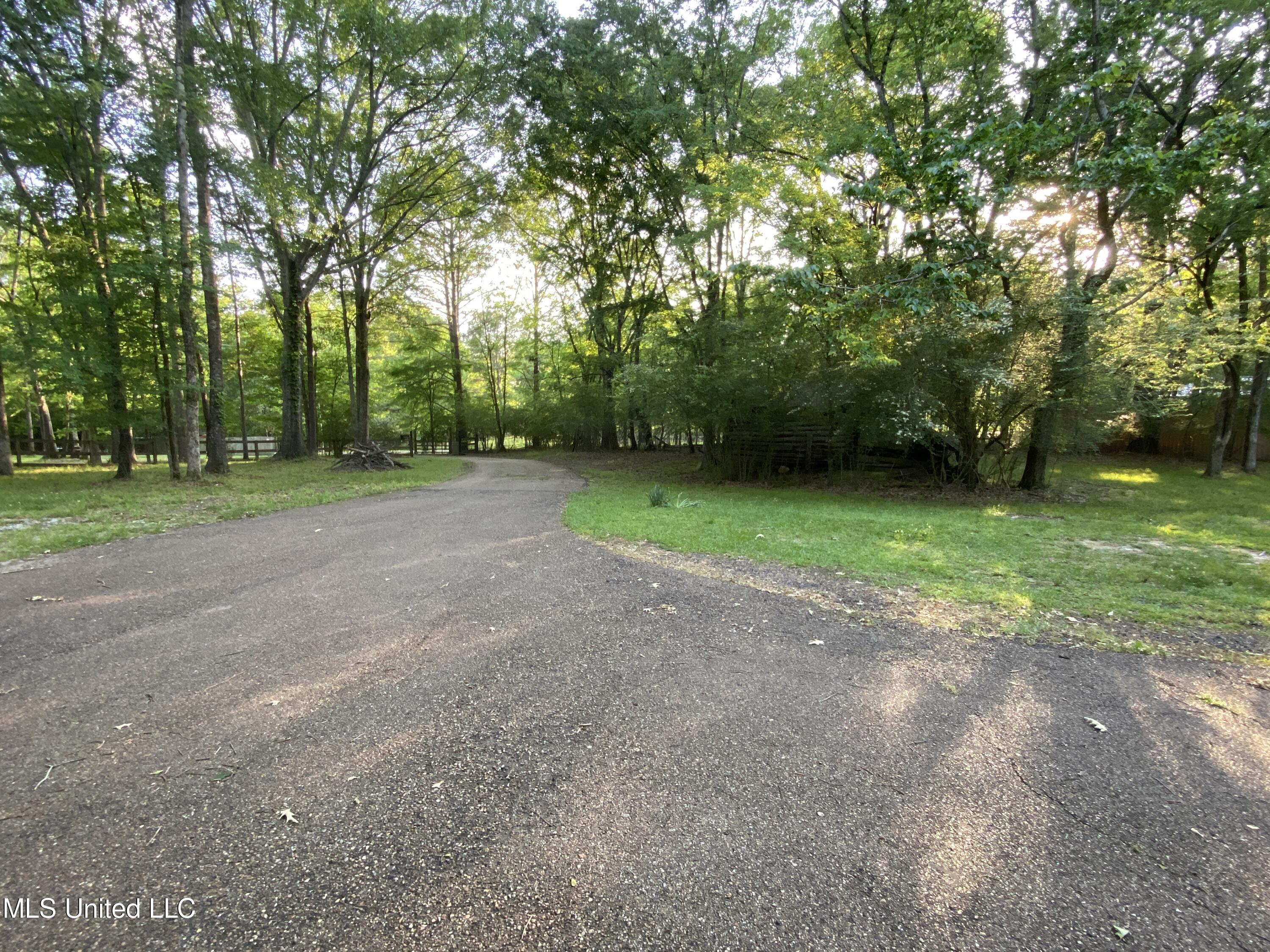 274 Pine Tree Lane Ridgeland, MS 39157 - Photo 5 of 48 274 Pine Tree paved drive