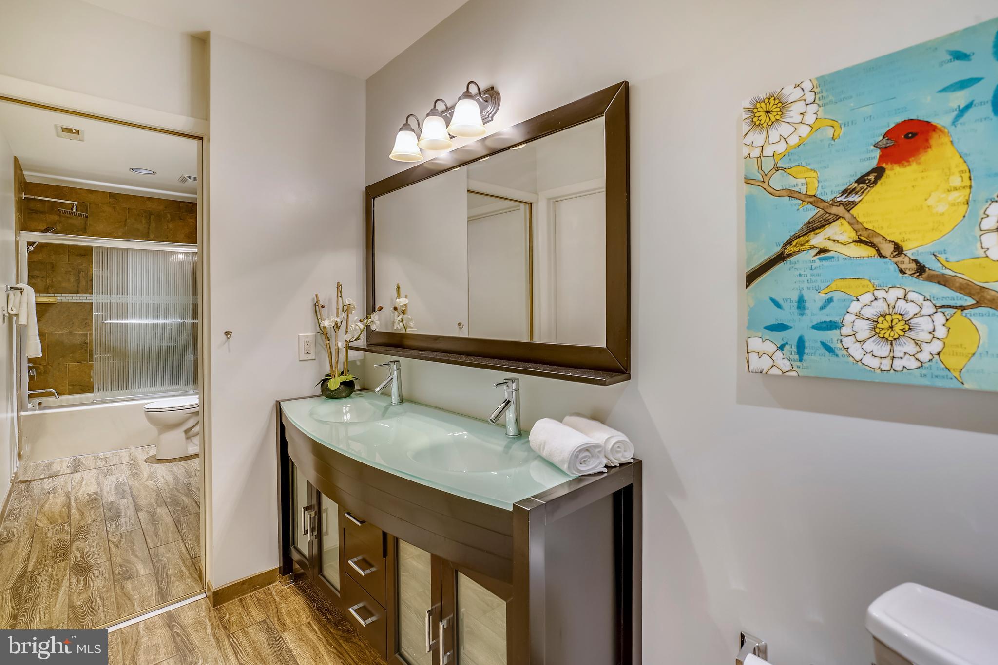5590 Vantage Point Road, Unit 9 Columbia, MD 21044 - Photo 22 of 38 Double sink, tub/shower/whirlpool.