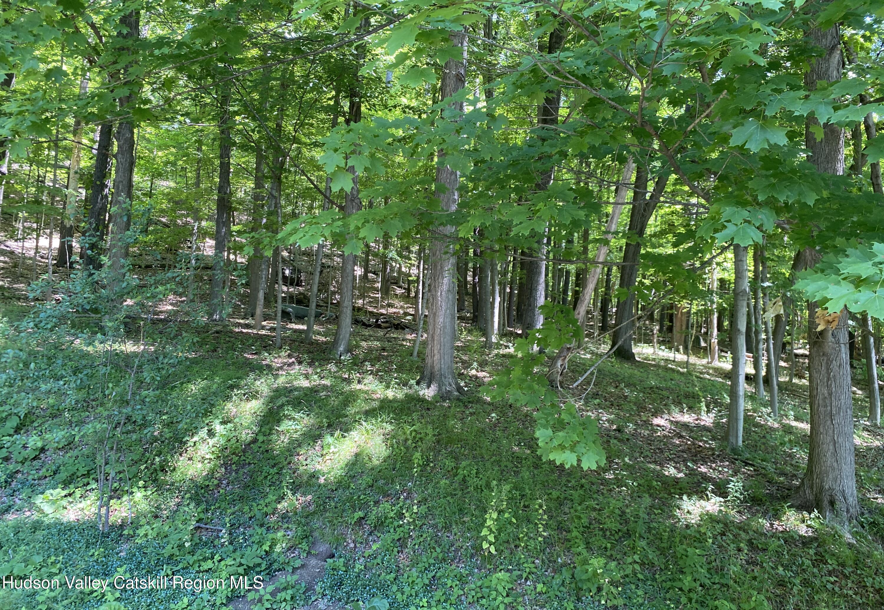696 Sawkill Road Kingston, NY 12401 - Photo 47 of 48 saw114