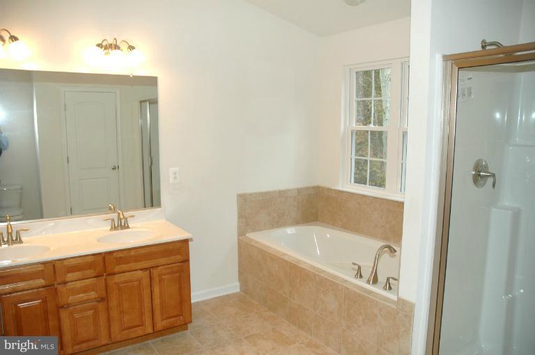 161 Ryan Road Pasadena, MD 21122 - Photo 10 of 16 Master Bath has double sink.