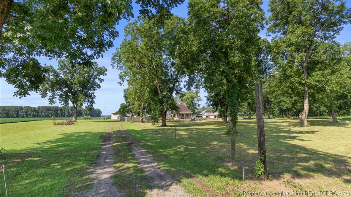 1999 McEachern Farm Road Red Springs, NC 28377 - Photo 3 of 47 Gallery Image 3