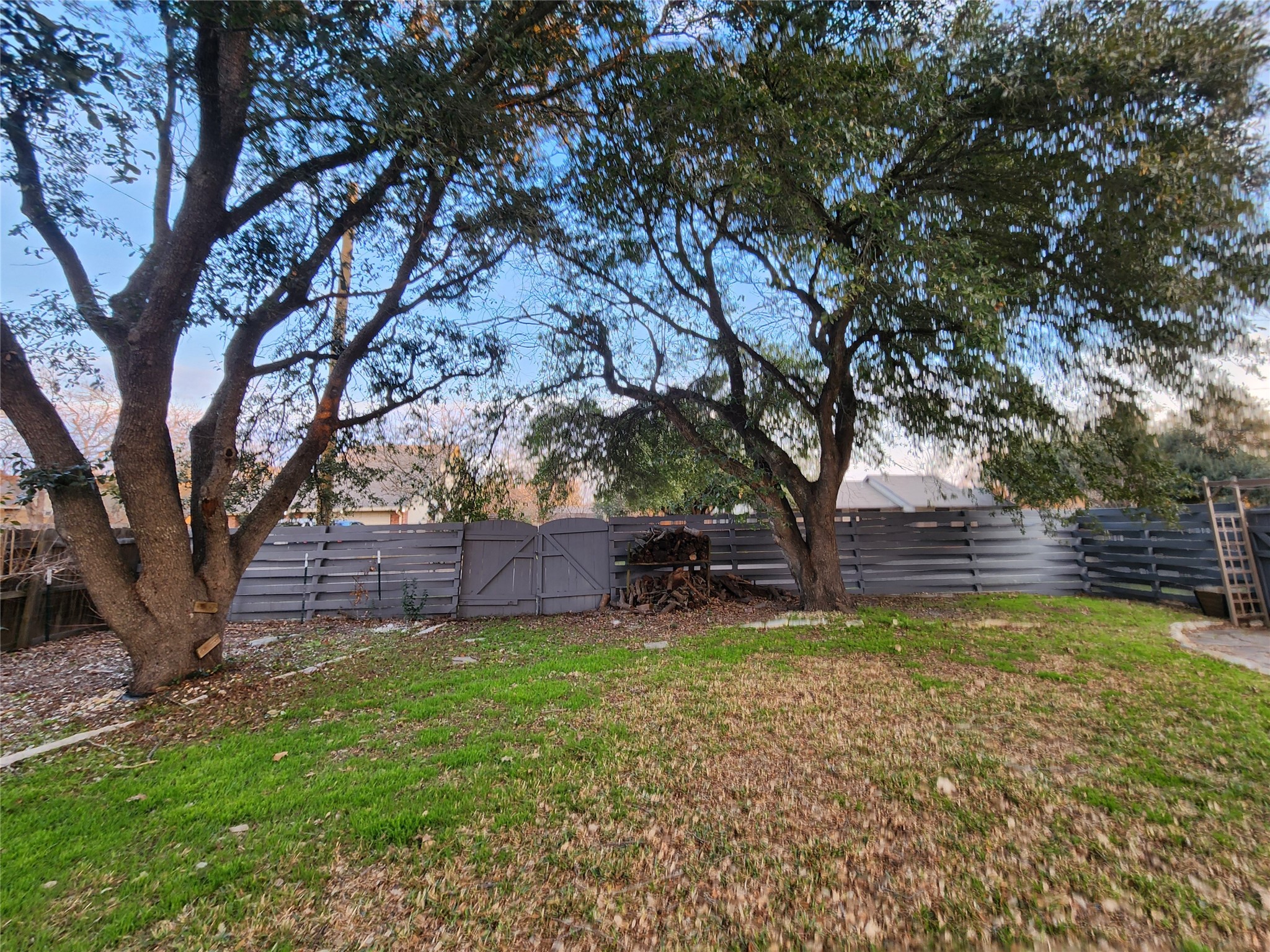 2000 Donna Drive Taylor, TX 76574 - Photo 25 of 27 a view of a yard with a tree