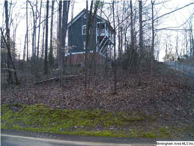 125 Hollow Road South Hayden, AL 35079 - Photo 22 of 30