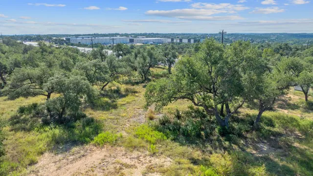 a view of a city with lush green forest