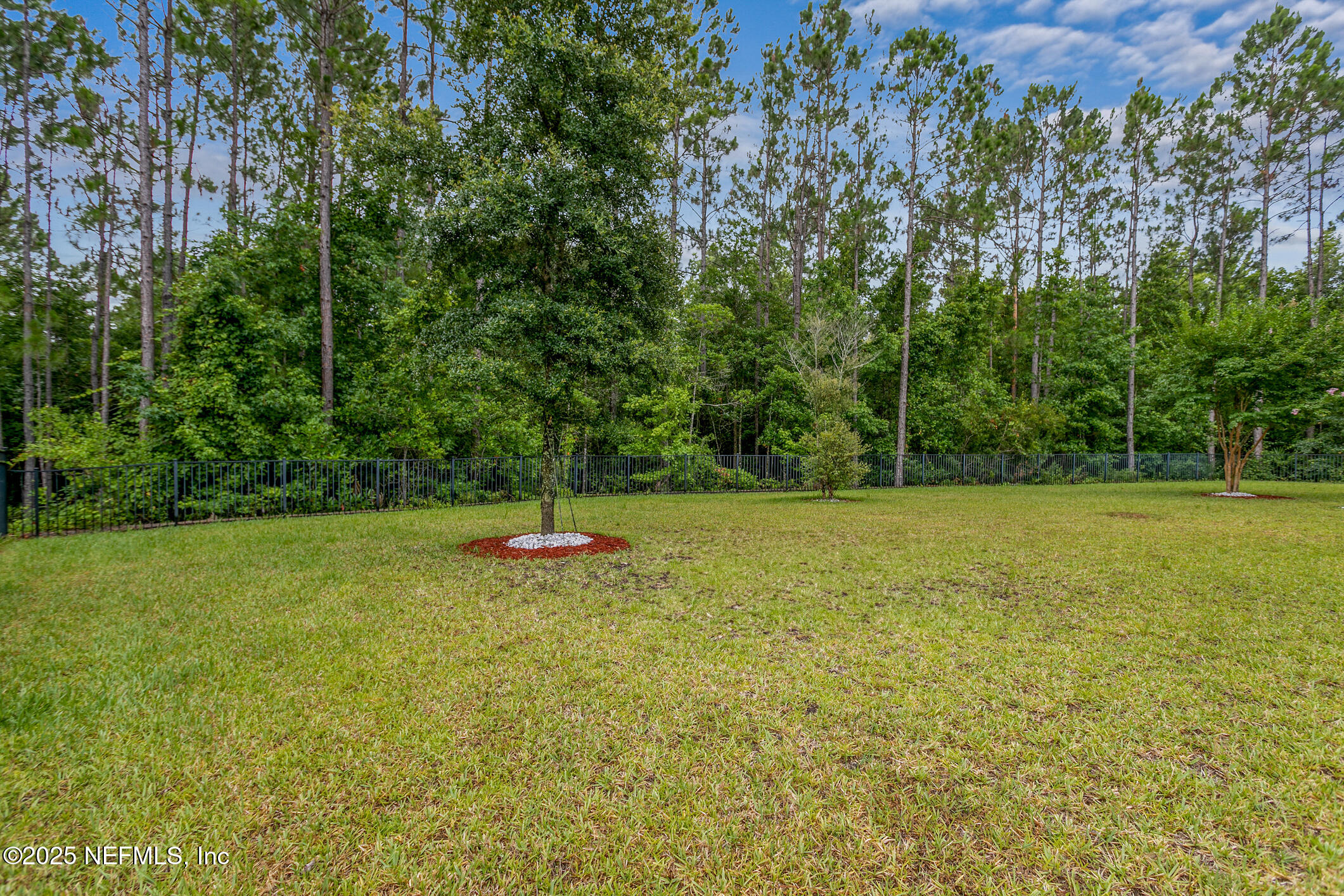 124 Mollusk Road St. Johns, FL 32259 - Photo 72 of 94 Rear