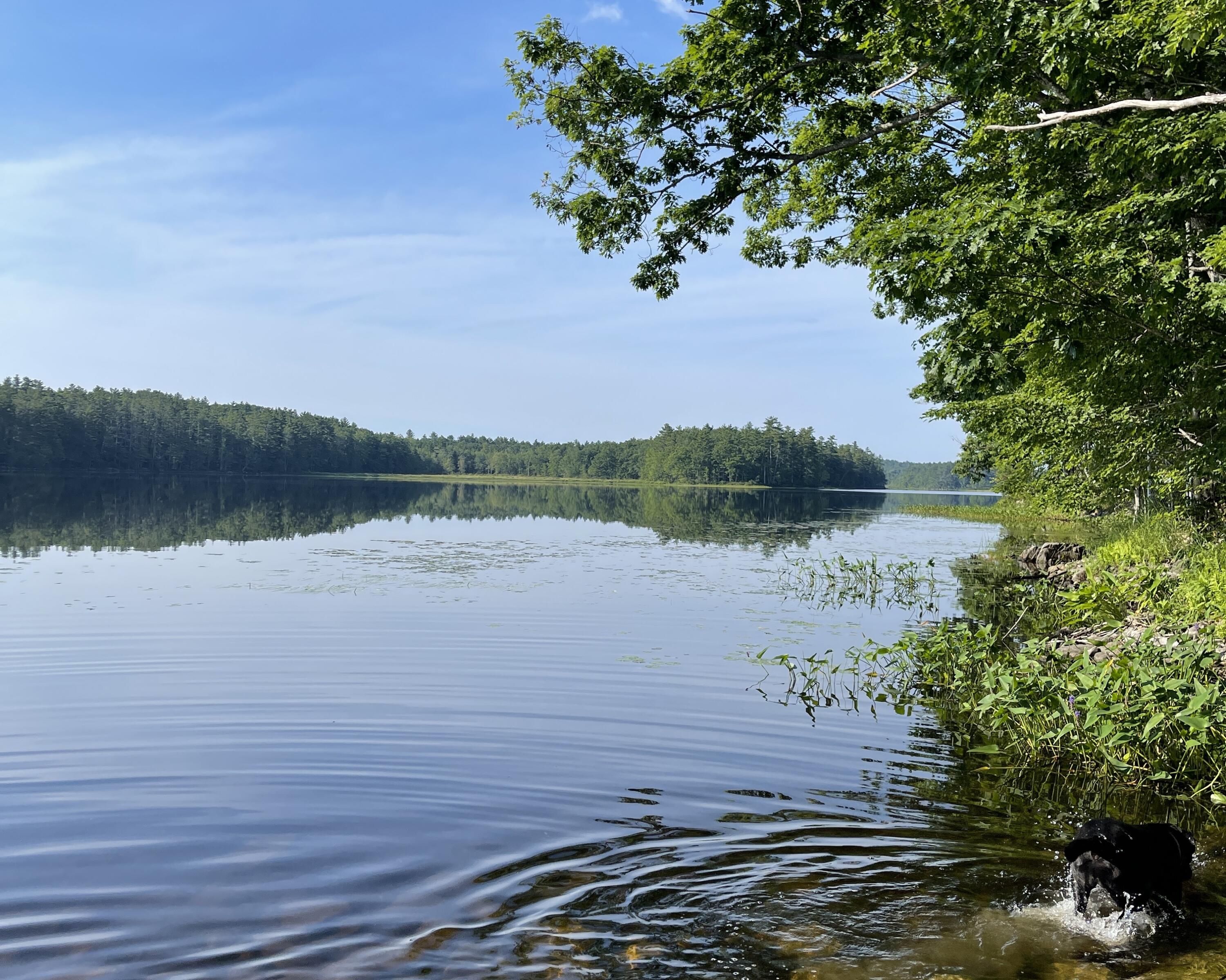 6 Sunrise Park Road Jefferson, ME 04348 - Photo 21 of 23 Dyer Long Pond