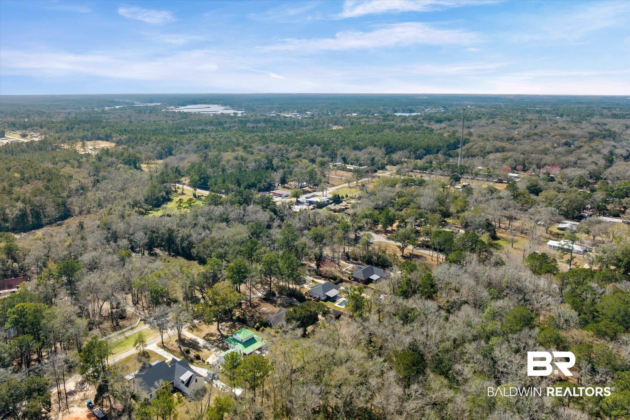 3216 Bay Booster Club Road Theodore, AL 36582 - Photo 35 of 46 Aerial view of a forest