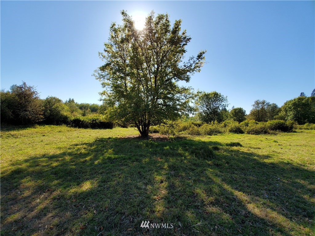 0 Taylors Ferry Road Elma, WA 98541 - Photo 1 of 16 Gallery Image 1