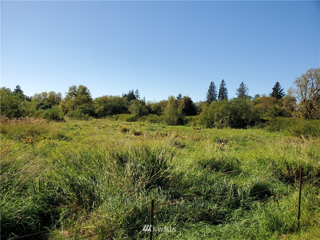 0 Taylors Ferry Road Elma, WA 98541 - Photo 2 of 16 Gallery Image 2
