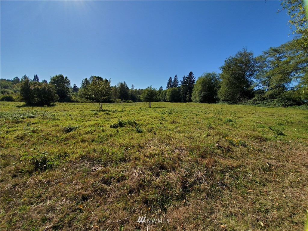 0 Taylors Ferry Road Elma, WA 98541 - Photo 11 of 16 Gallery Image 11
