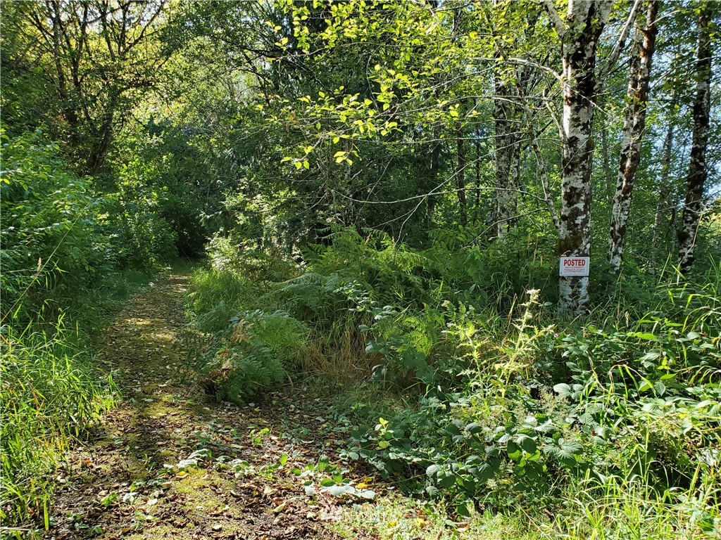 0 Taylors Ferry Road Elma, WA 98541 - Photo 12 of 16 Gallery Image 12