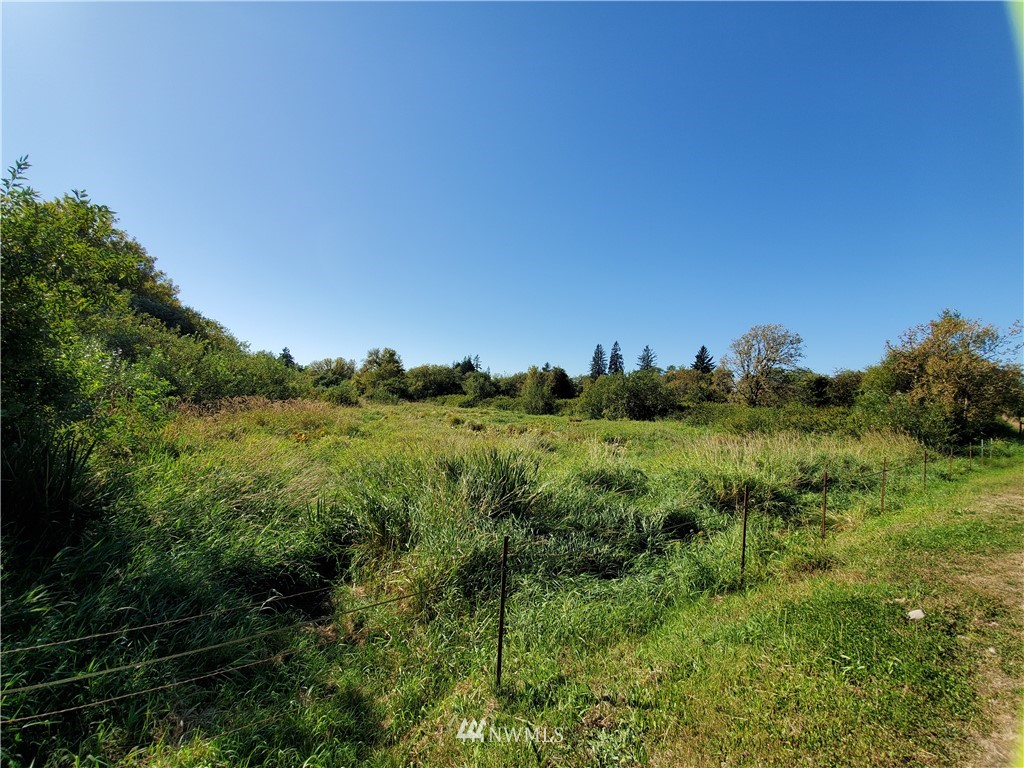 0 Taylors Ferry Road Elma, WA 98541 - Photo 3 of 16 Gallery Image 3