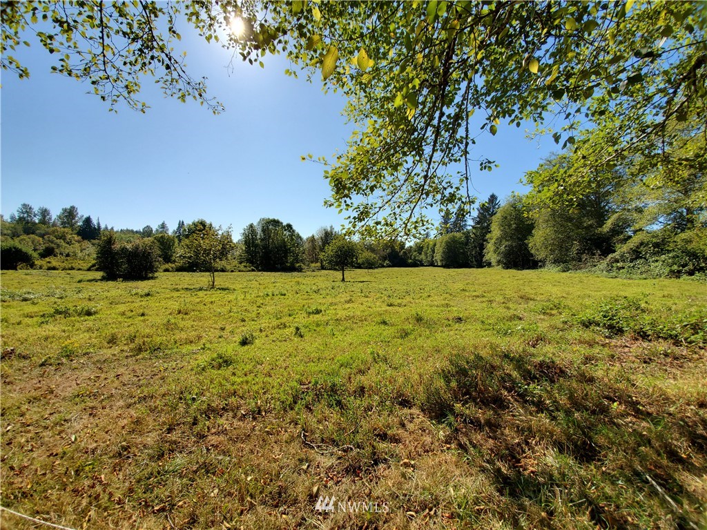 0 Taylors Ferry Road Elma, WA 98541 - Photo 8 of 16 Gallery Image 8