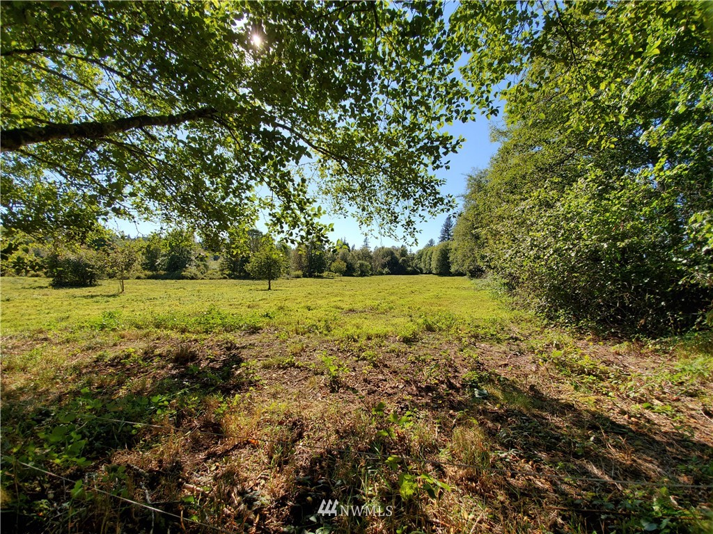 0 Taylors Ferry Road Elma, WA 98541 - Photo 9 of 16 Gallery Image 9