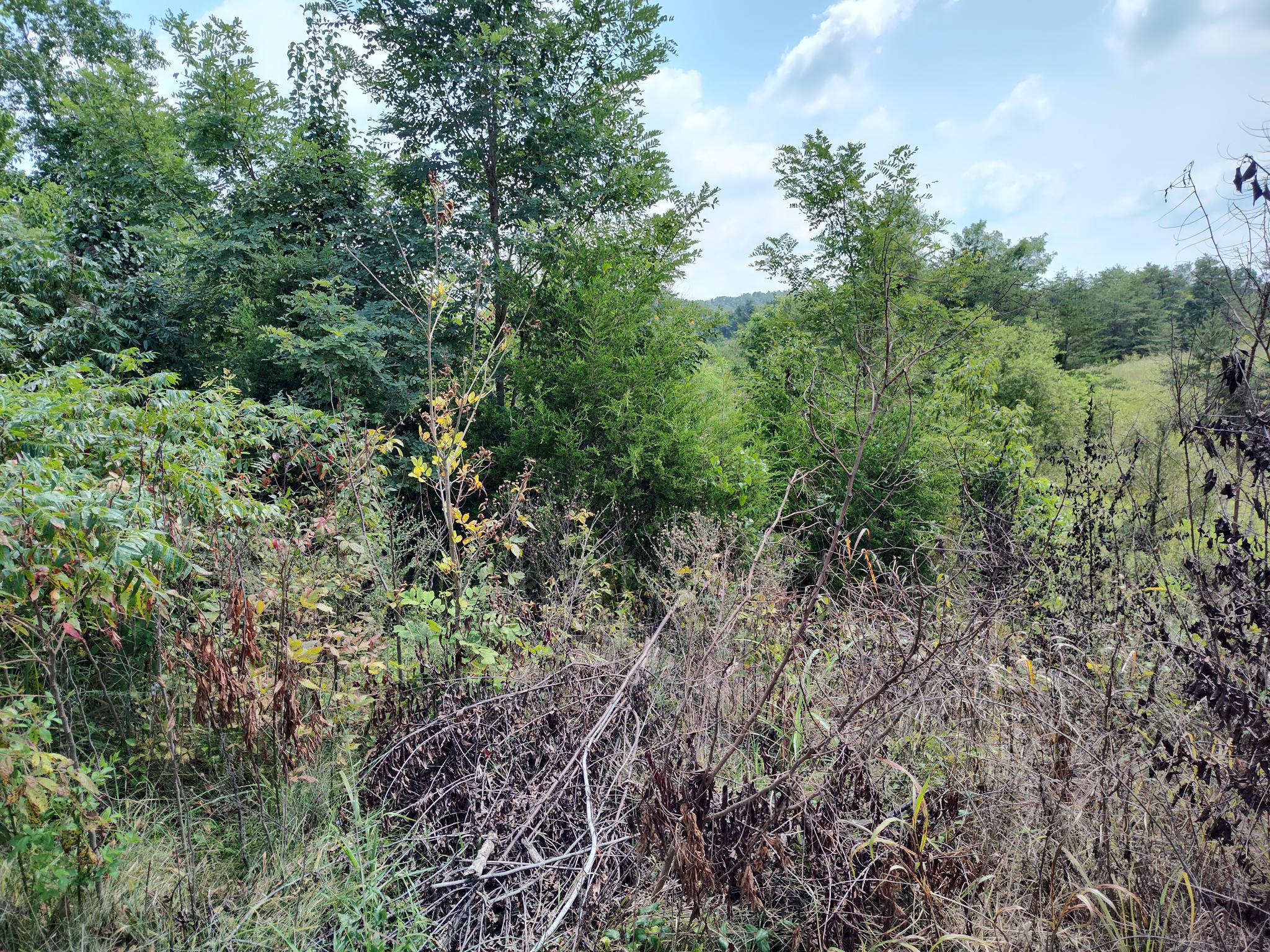 9999 Bethlehem Road Waco, KY 40385 - Photo 2 of 8 IMG_20230822_134812345_HDR