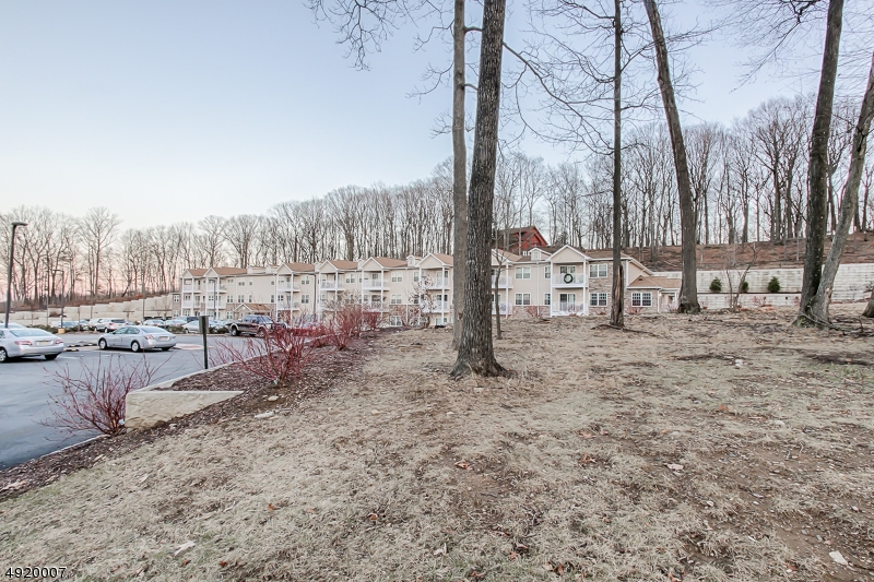 2889 Highway 10, Unit 2301 Morris Plains, NJ 07950 - Photo 14 of 16 a view of a backyard with large trees