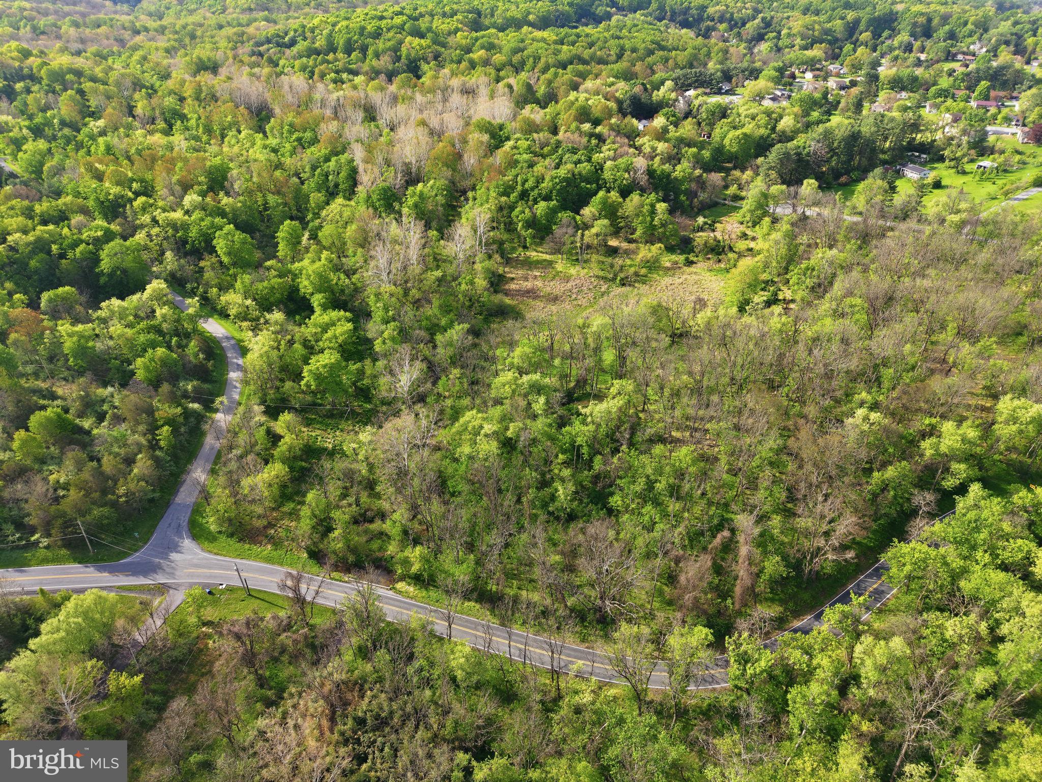 Detrick Rd Mount Mount Airy, MD 21771 - Photo 1 of 12 a view of a lush green forest