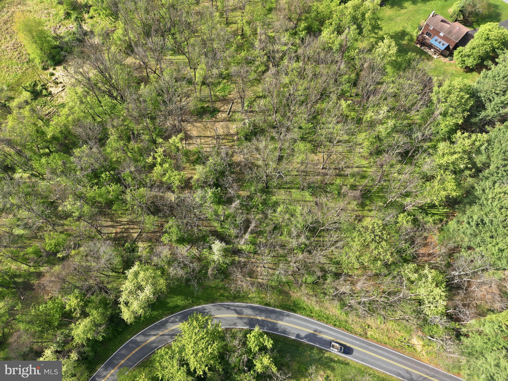 Detrick Rd Mount Mount Airy, MD 21771 - Photo 11 of 12 a view of a yard from a window