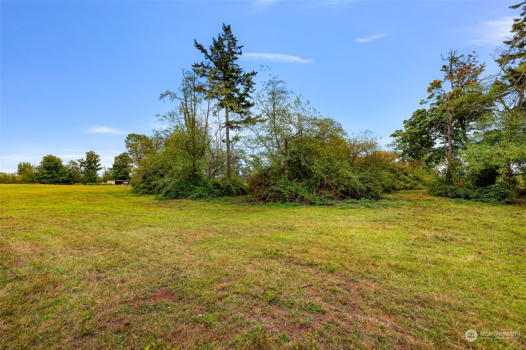 0 Bayon Road Bellingham, WA 98225 - Photo 12 of 21