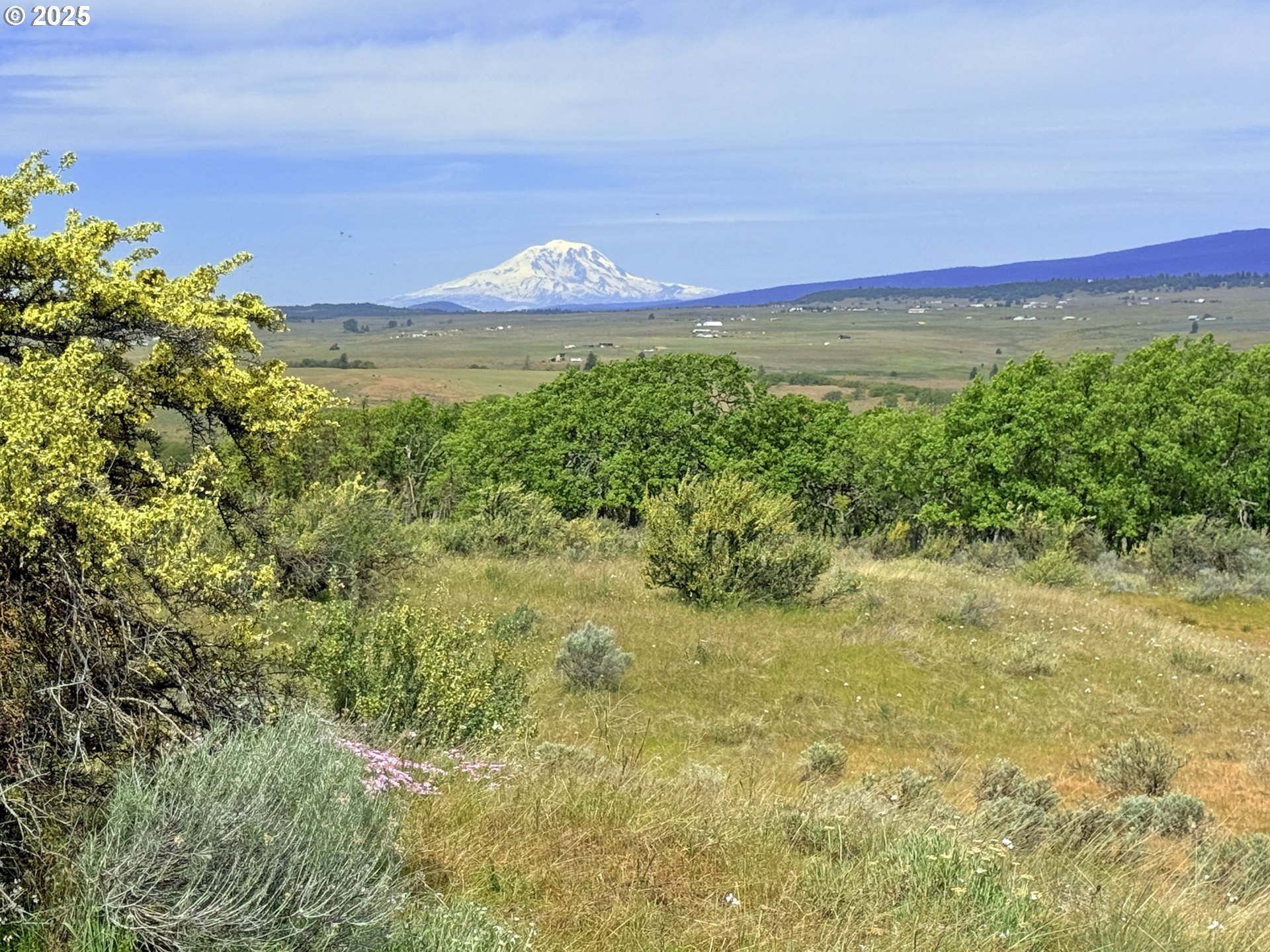 a view of a field with an ocean
